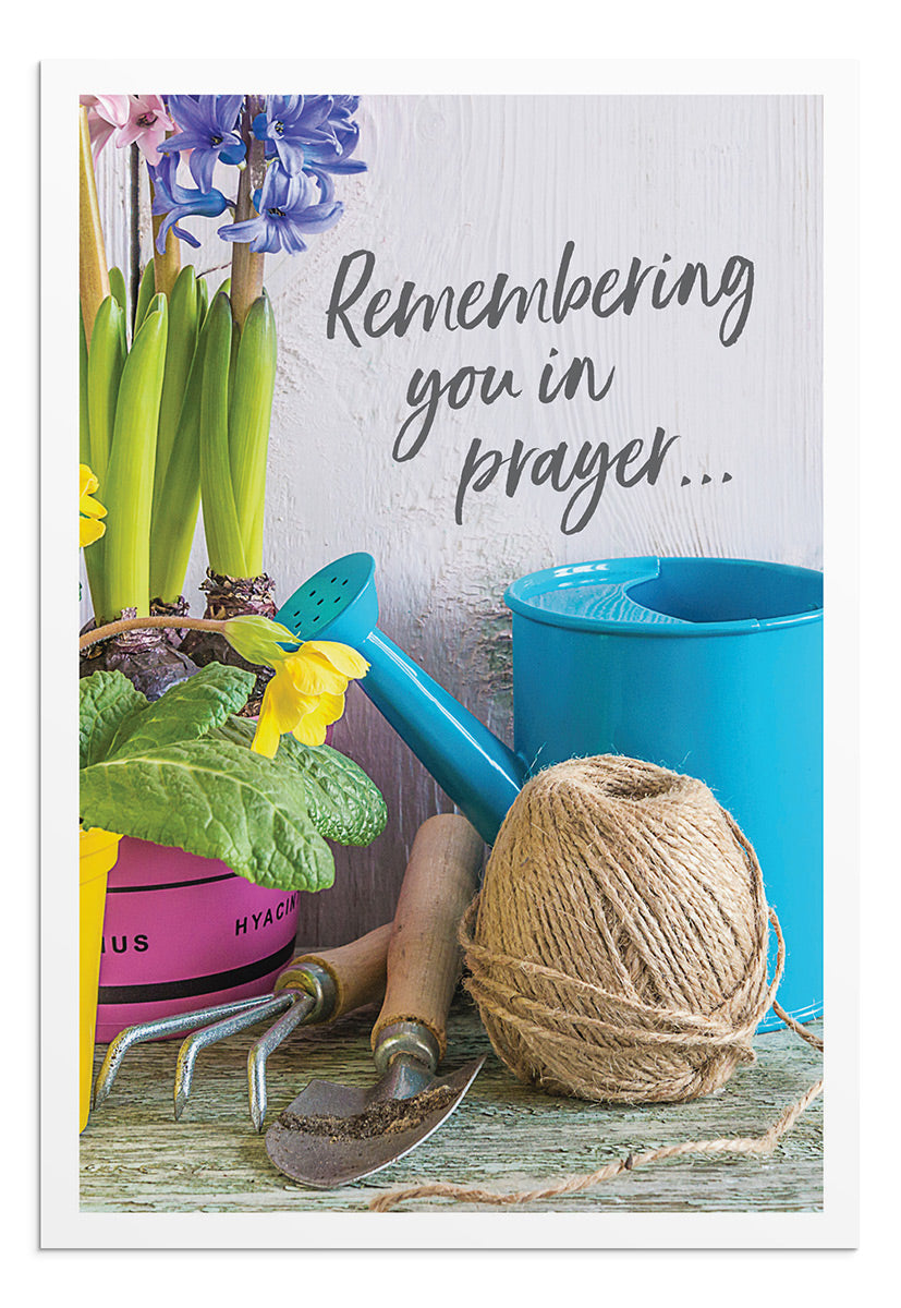 Praying for You - Gardening - 12 Boxed Cards, KJV - The Christian Gift Company