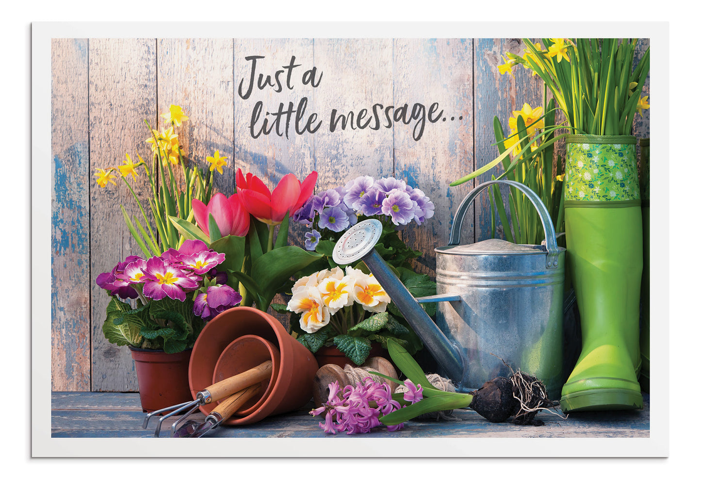 Praying for You - Gardening - 12 Boxed Cards, KJV - The Christian Gift Company