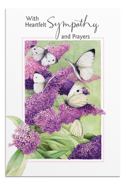 Nature's Blessings - Sympathy - 12 Boxed Cards - The Christian Gift Company