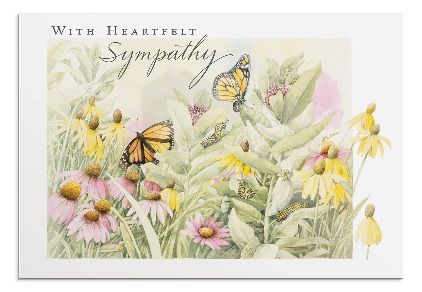 Nature's Blessings - Sympathy - 12 Boxed Cards - The Christian Gift Company