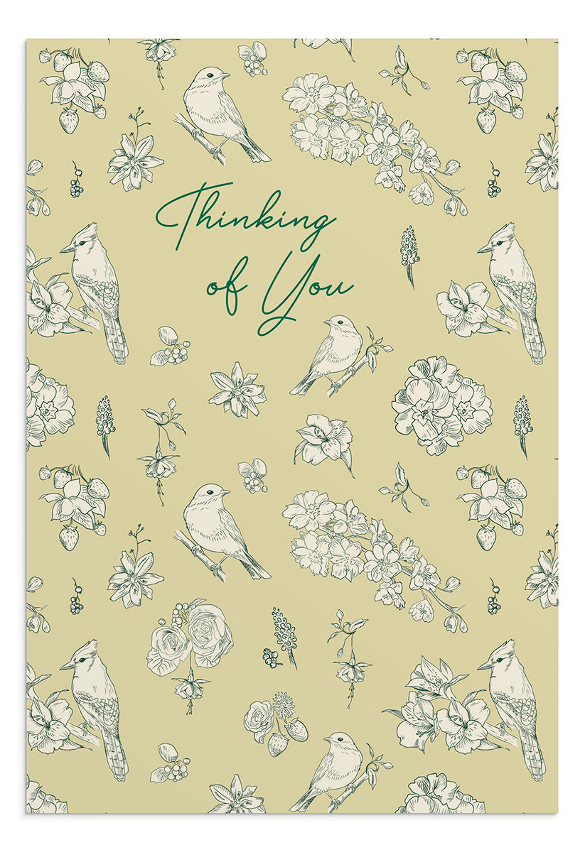 Thinking of You - He Cares for You - 12 Boxed Cards - The Christian Gift Company