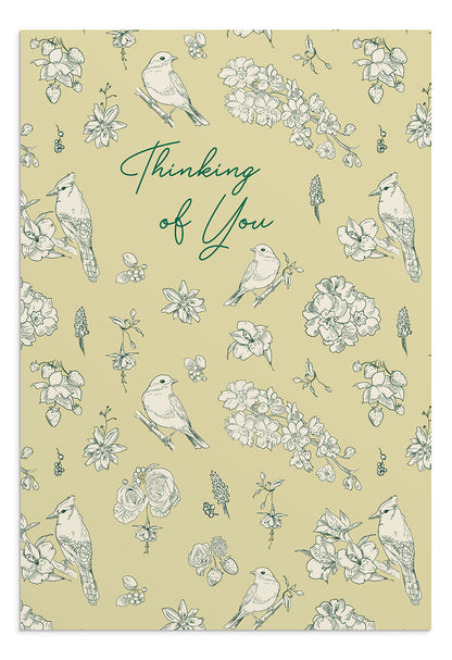 Thinking of You - He Cares for You - 12 Boxed Cards - The Christian Gift Company