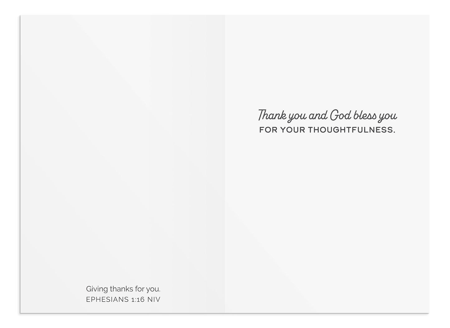 Thank You - Minimalist Nature Scenes - 12 Boxed Cards - The Christian Gift Company