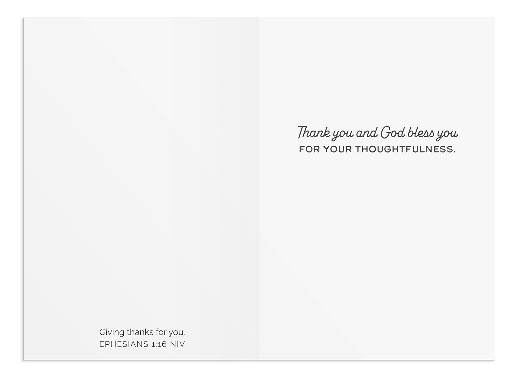 Thank You - Minimalist Nature Scenes - 12 Boxed Cards - The Christian Gift Company