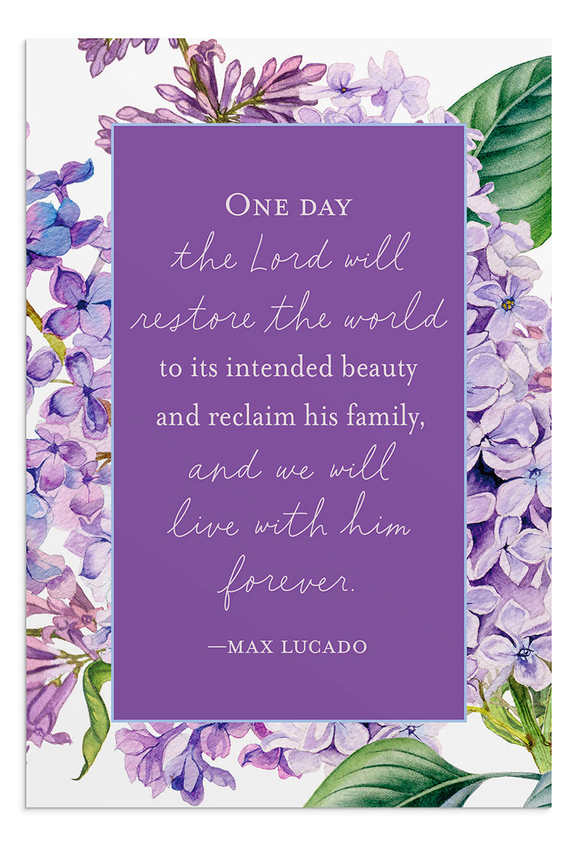 Max Lucado - Sympathy - 12 Boxed Cards - The Christian Gift Company