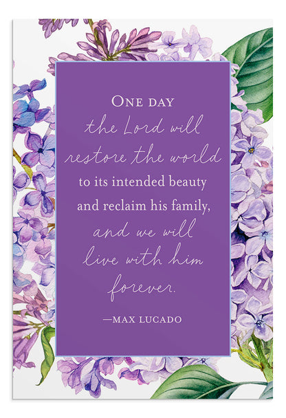 Max Lucado - Sympathy - 12 Boxed Cards - The Christian Gift Company