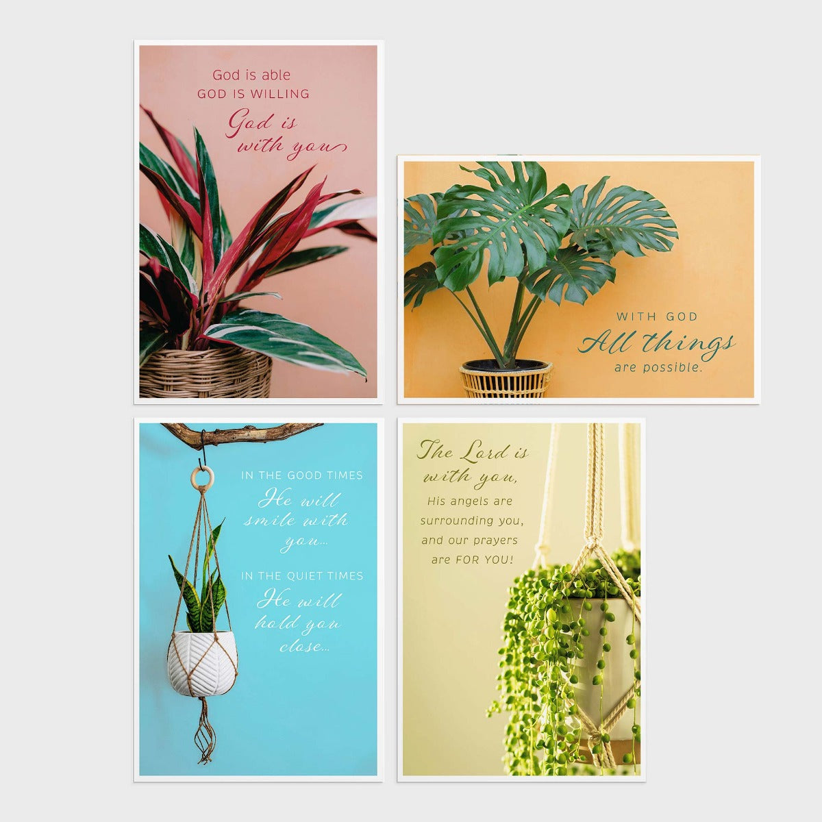 Encouragement - Simple Plants - 12 Boxed Cards - The Christian Gift Company