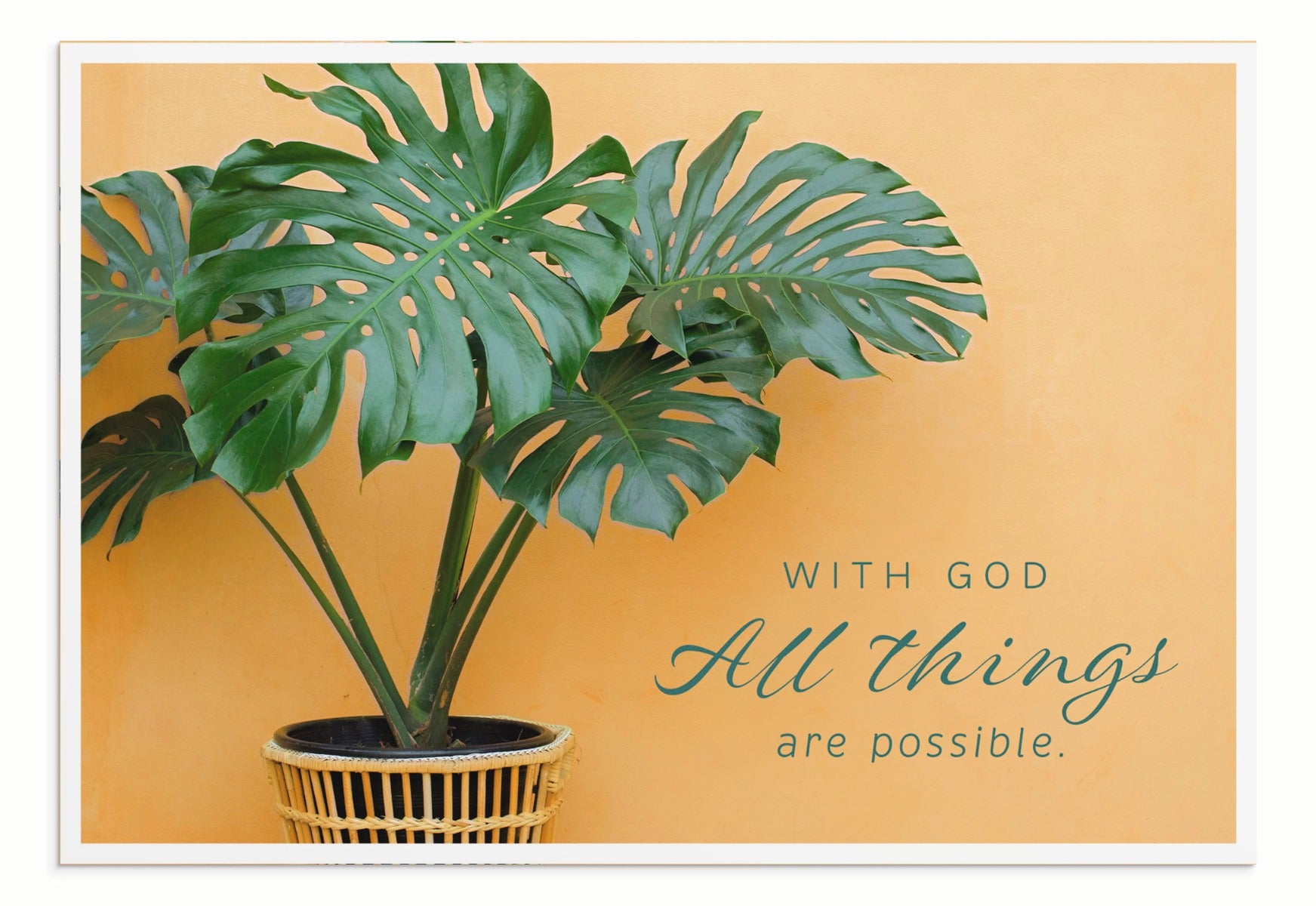 Encouragement - Simple Plants - 12 Boxed Cards - The Christian Gift Company