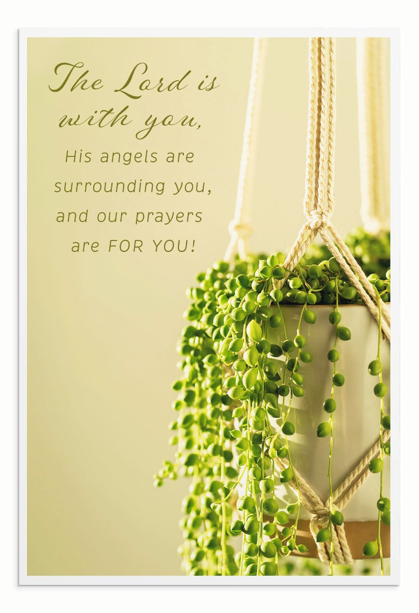 Encouragement - Simple Plants - 12 Boxed Cards - The Christian Gift Company