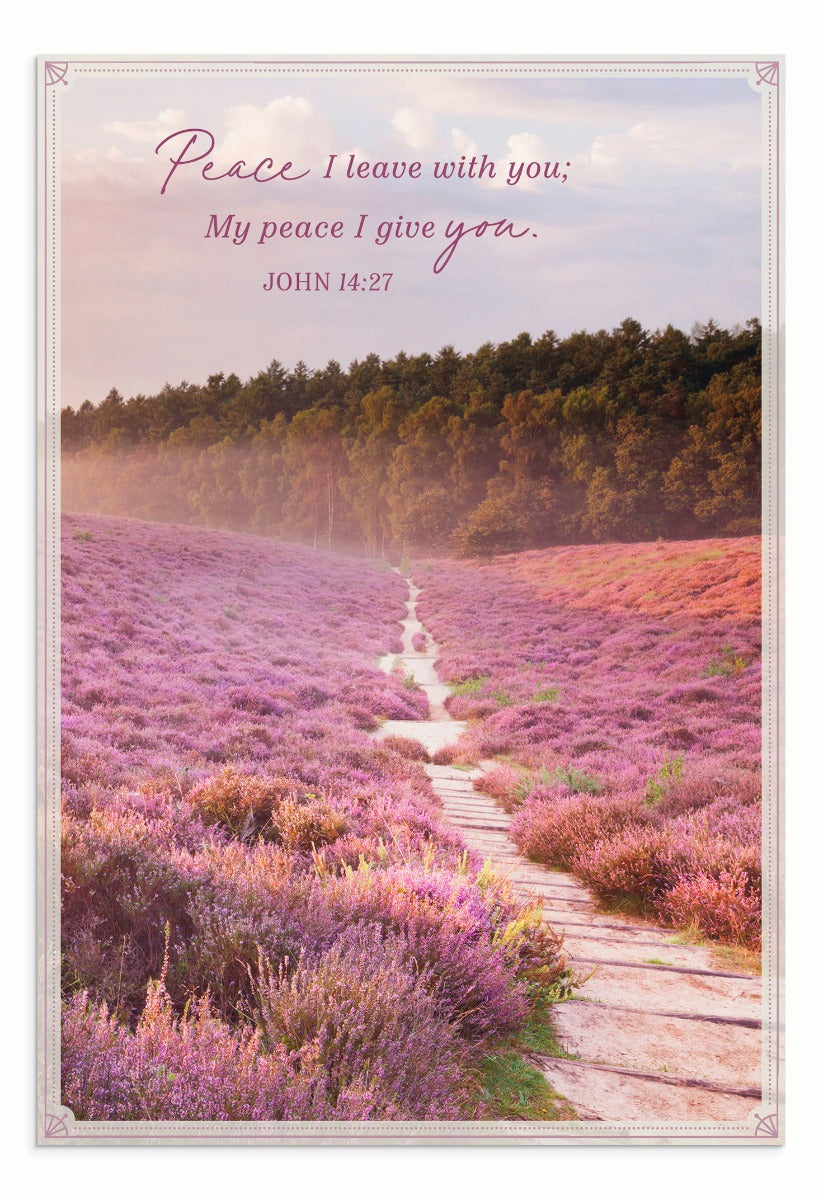 Sympathy - Nature Landscapes - 12 Boxed Cards - The Christian Gift Company