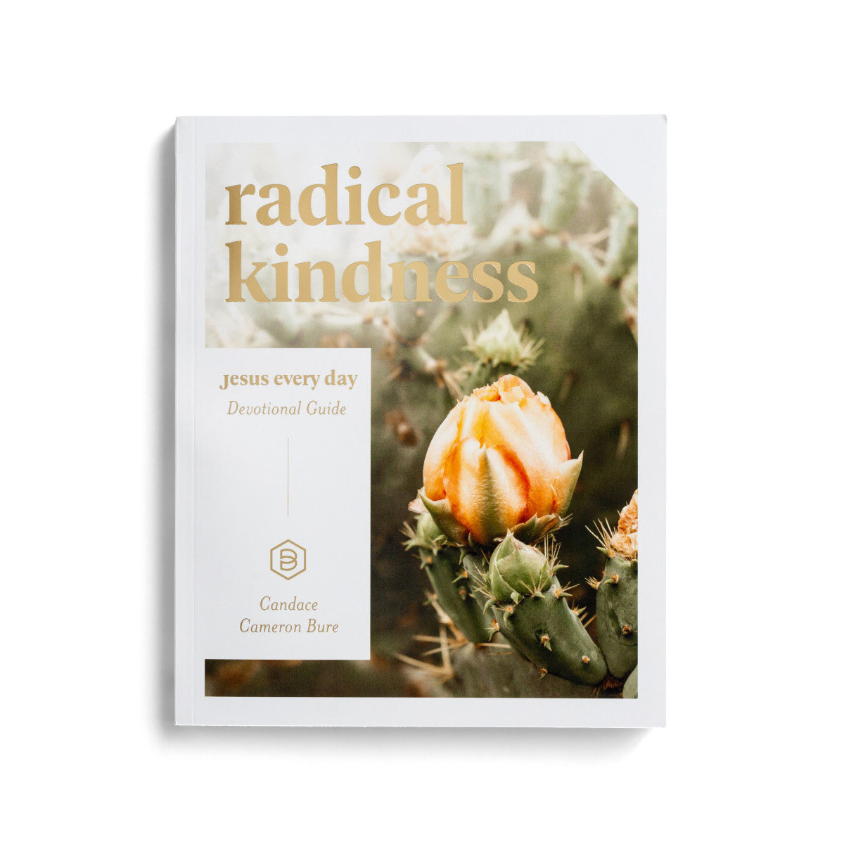 Jesus Every Day: Radical Kindness - Devotional Guide - The Christian Gift Company