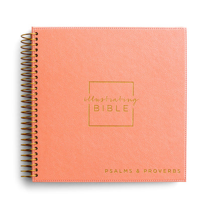 NIV - Illustrating Bible - Psalms & Proverbs - The Christian Gift Company