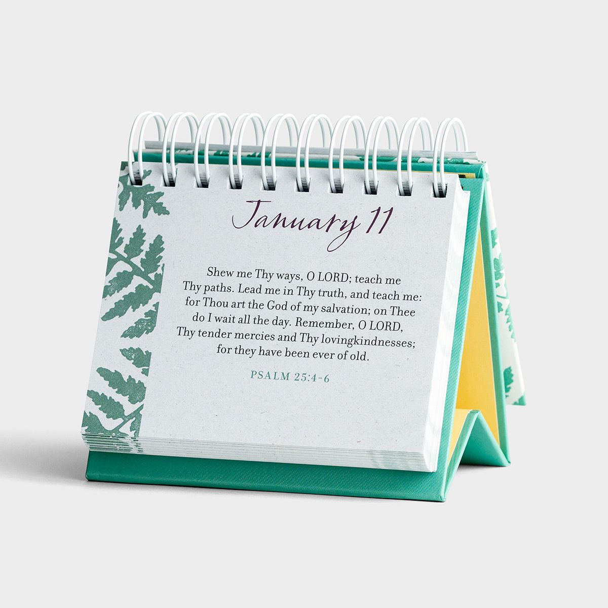 Promises and Blessings - 365 Day Inspirational DayBrightener - The Christian Gift Company