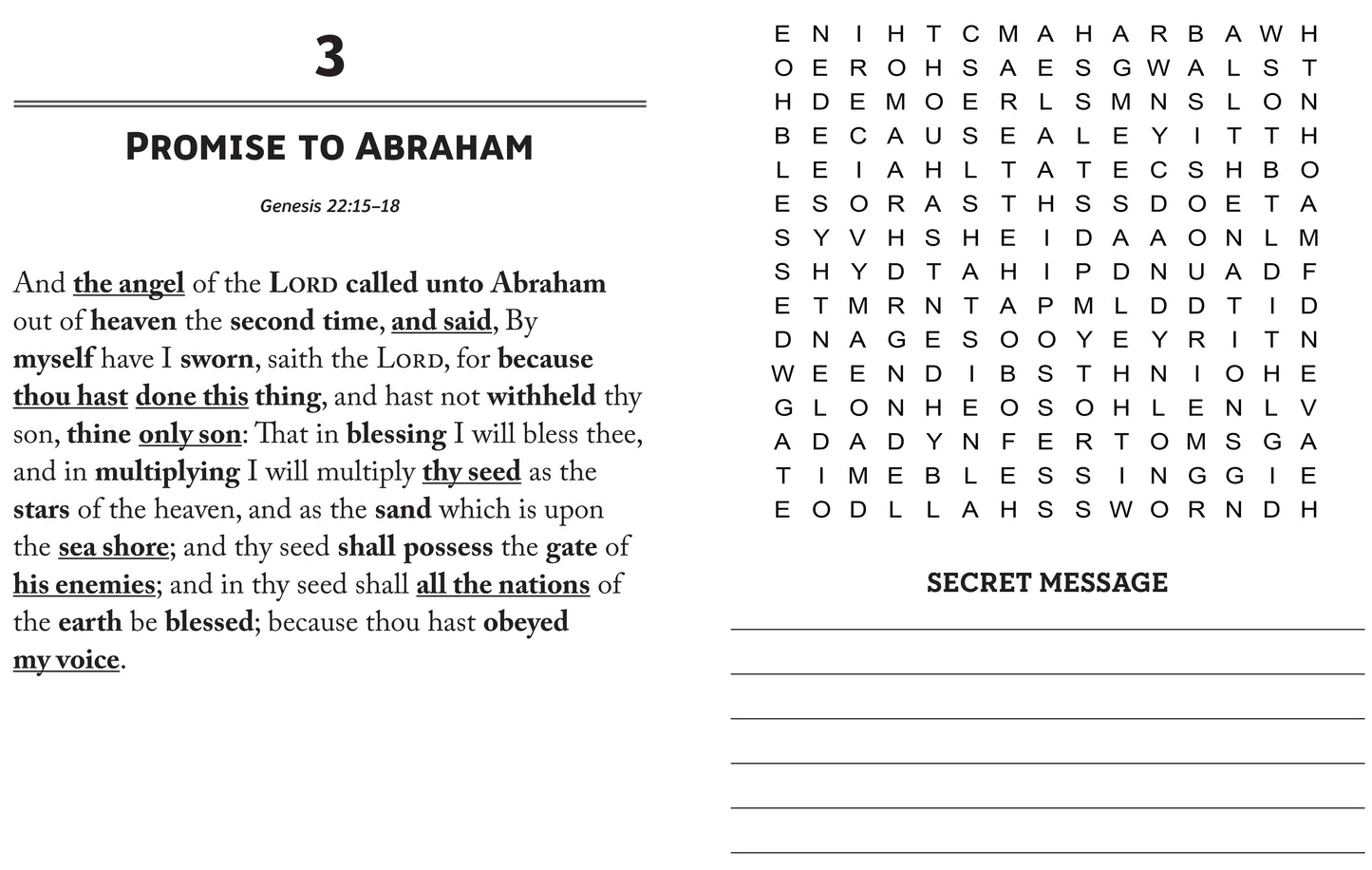 Secret Message Bible Word Searches Large Print - The Christian Gift Company