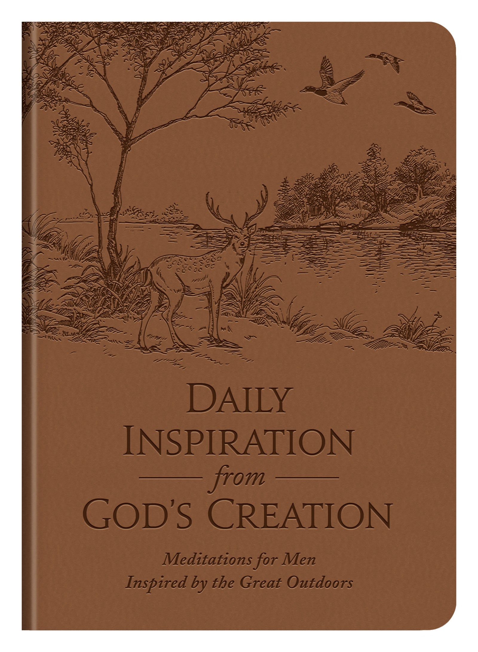Daily Inspiration from God's Creation - The Christian Gift Company