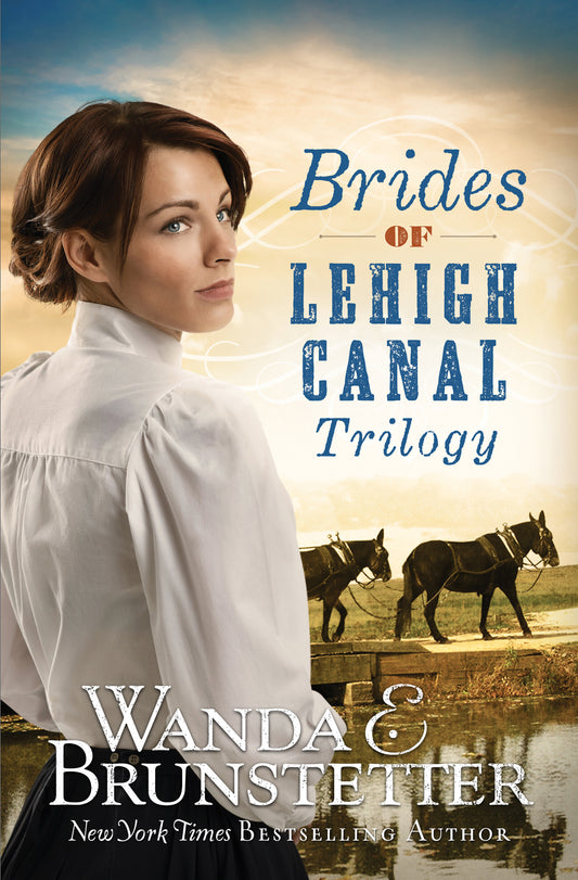 Brides of Lehigh Canal Trilogy - The Christian Gift Company