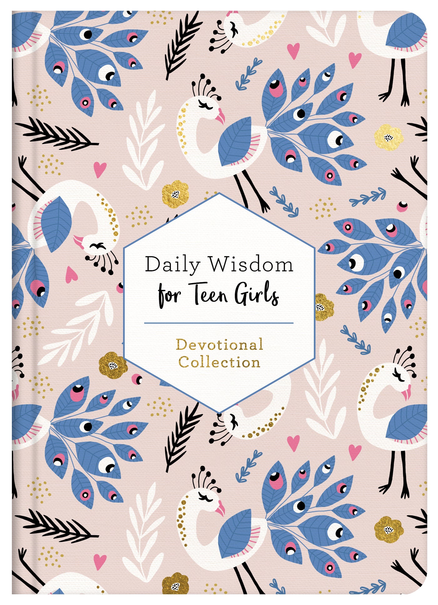 Daily Wisdom for Teen Girls - The Christian Gift Company