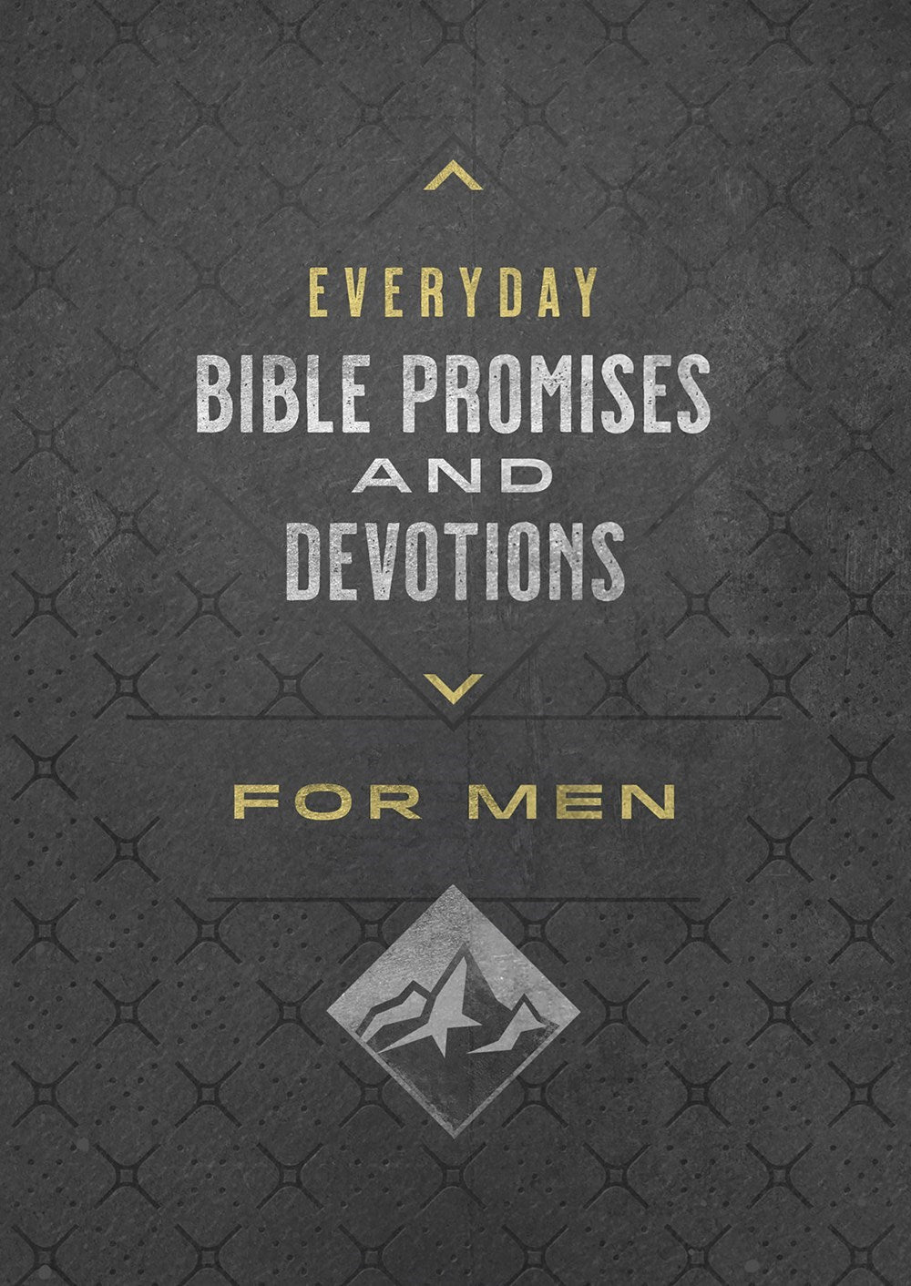 Everyday Bible Promises and Devotions for Men - The Christian Gift Company