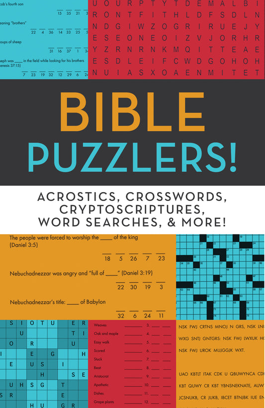 Bible Puzzlers! - The Christian Gift Company