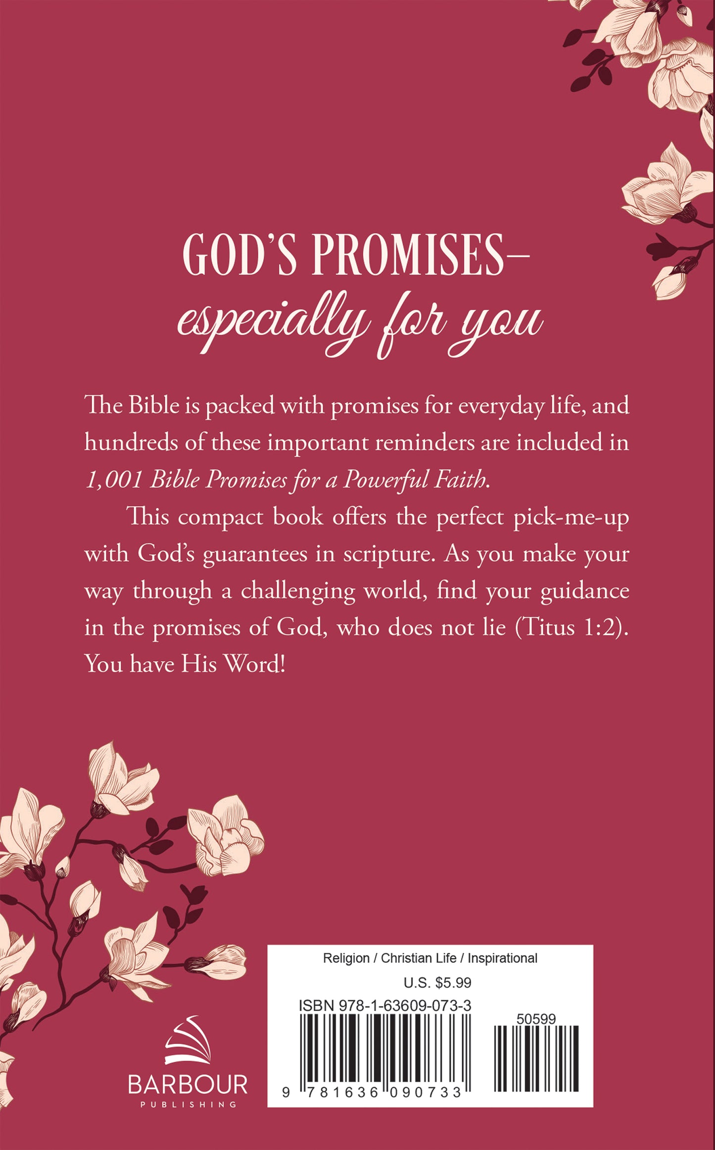 1001 Bible Promises for a Powerful Faith - The Christian Gift Company