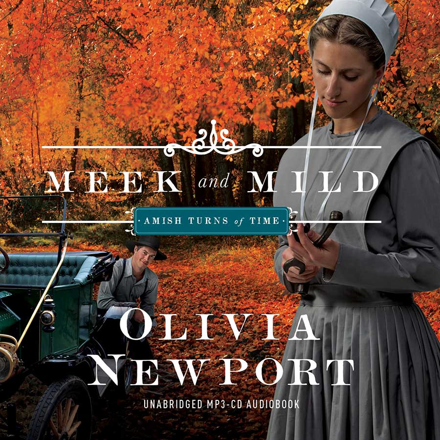 Meek and Mild Audio (CD) - The Christian Gift Company