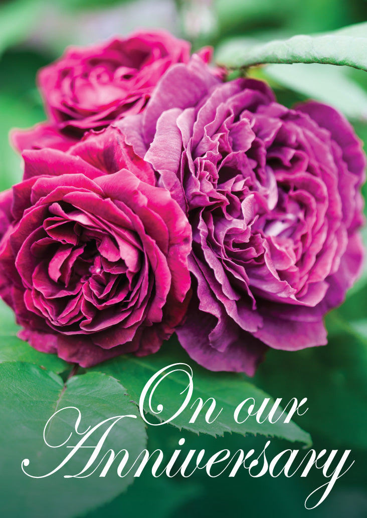 Our Anniv Card - Old English Roses - The Christian Gift Company