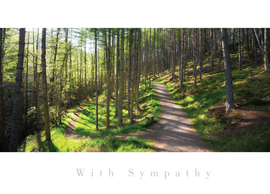 Sympathy Card - Woodland Paths - The Christian Gift Company