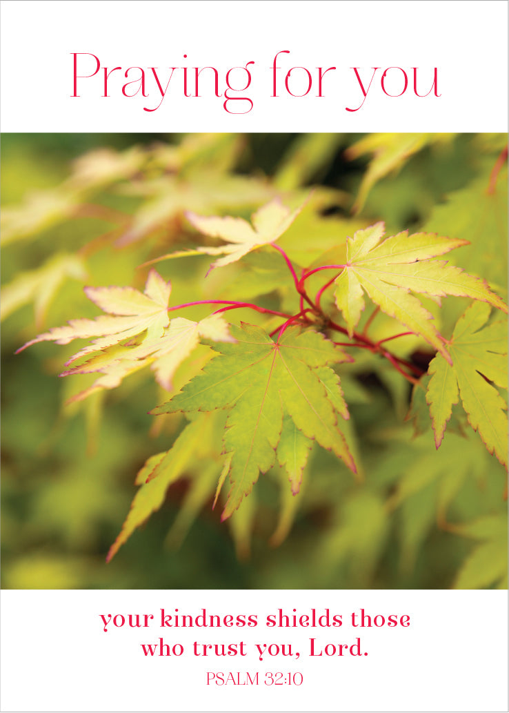 Praying for You Card - Maple Leaves - The Christian Gift Company