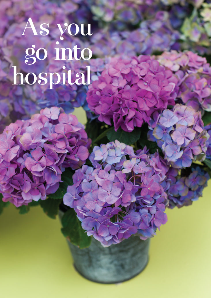 Get Well Card - Hydrangeas In Pots - The Christian Gift Company