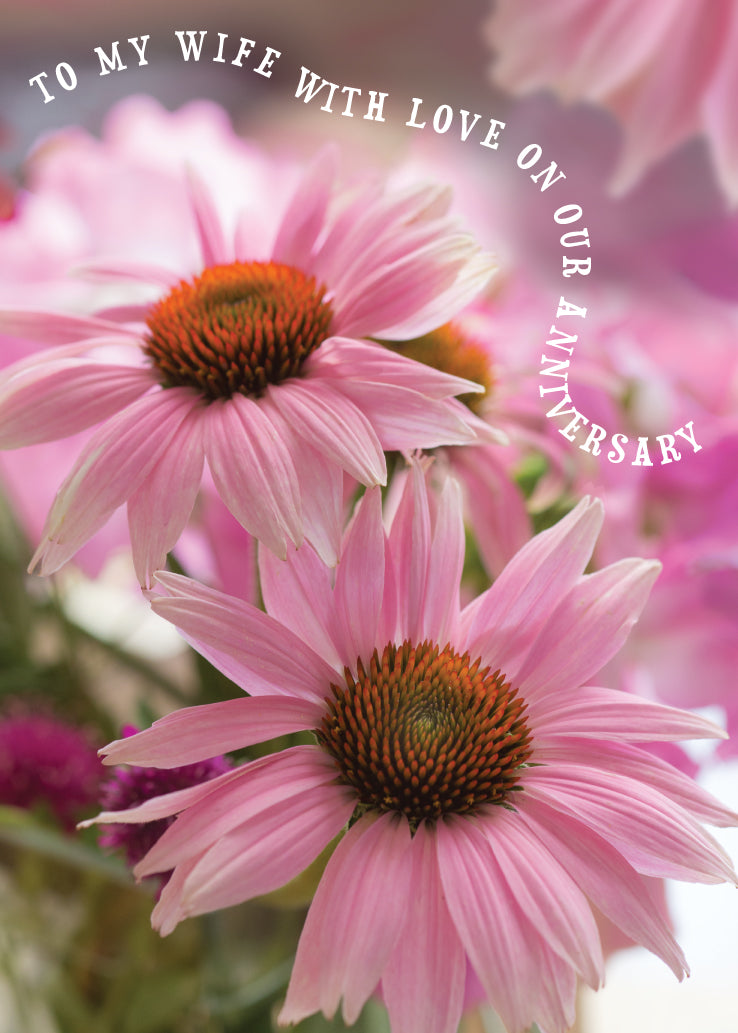 Wife Anniversary Card - Pink Echinacea - The Christian Gift Company