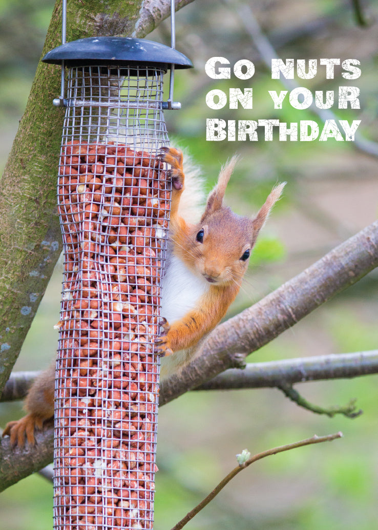 Birthday Card - Red Squirrel - The Christian Gift Company