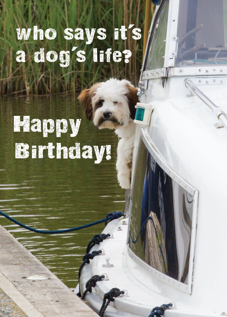 Birthday Card - Small Dog On Boat - The Christian Gift Company