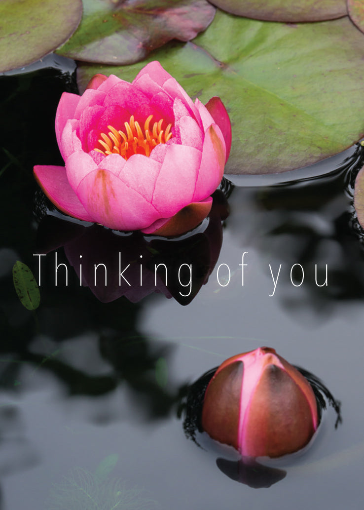 Thinking of You Card - Water Lilies - The Christian Gift Company