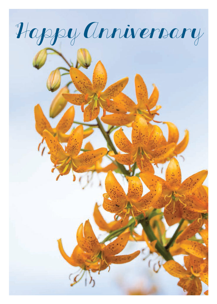 Anniversary Card - Orange Lily Stem - The Christian Gift Company