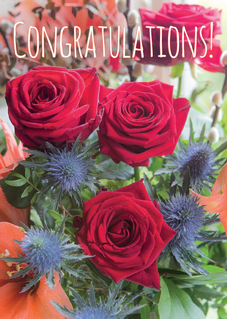 Congratulations Card - Red Rose Display - The Christian Gift Company