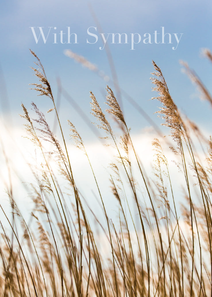 Sympathy Card - Evening Grasses - The Christian Gift Company