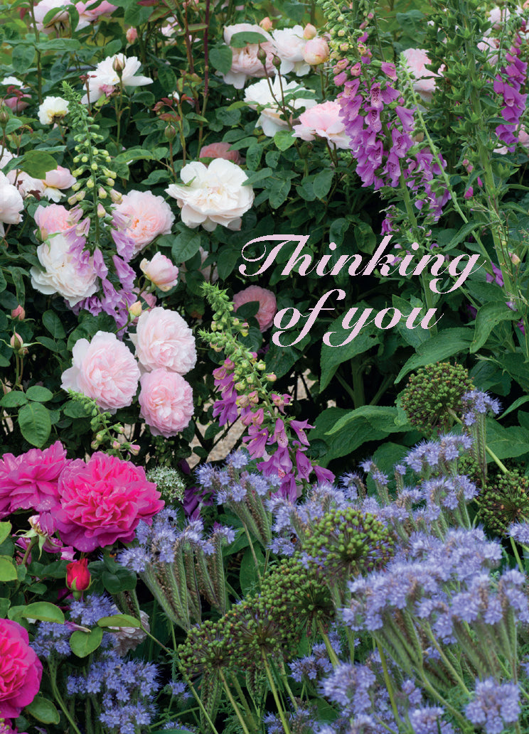 Thinking of You Card - Summer Flower Border - The Christian Gift Company