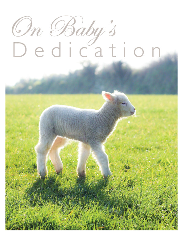 Dedication Card - Lamb In Meadow - The Christian Gift Company