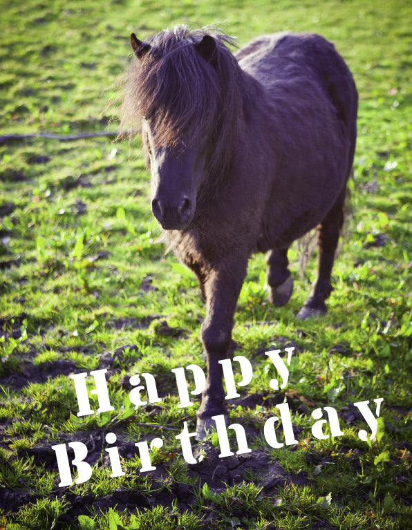 Birthday Card - Small Pony - The Christian Gift Company