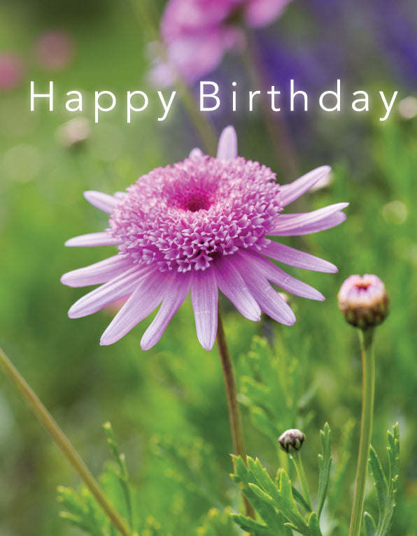 Birthday Card - Pink Flower - The Christian Gift Company