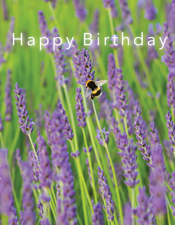 Birthday Card - Bumblebee On Lavender - The Christian Gift Company