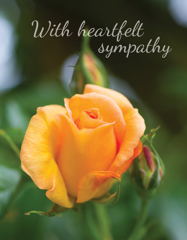 Sympathy Card - Orange Rose Bloom - The Christian Gift Company