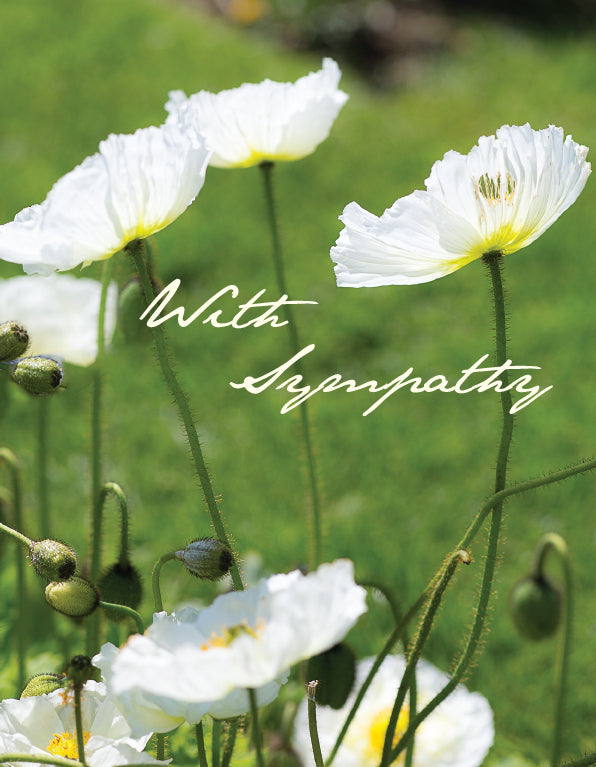 Sympathy Card - White Poppies - The Christian Gift Company