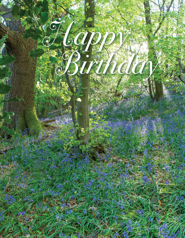 Birthday Card - Bluebell Woods - The Christian Gift Company