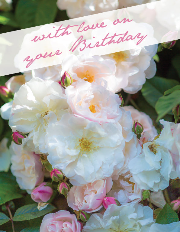 Birthday Card - White Rose Blooms - The Christian Gift Company