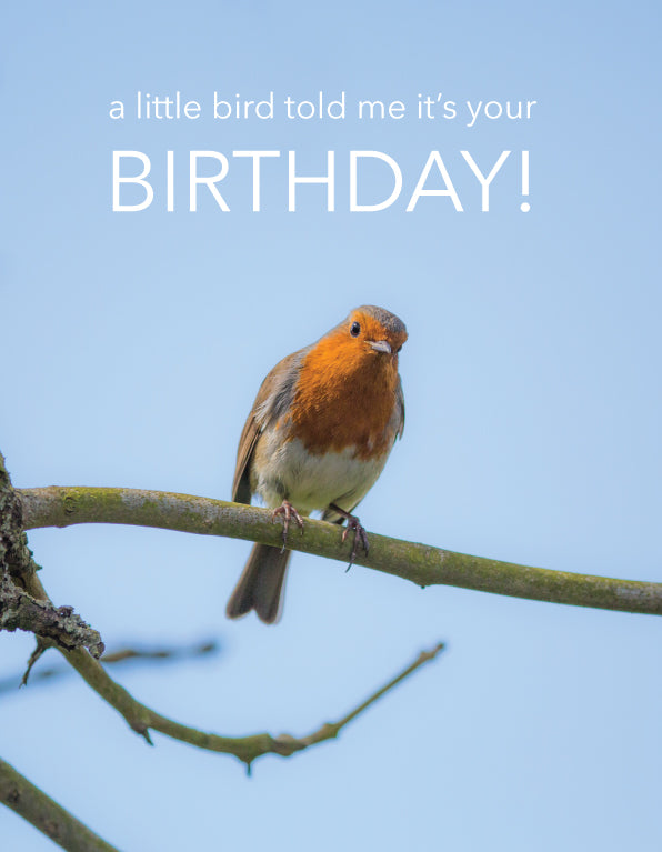 Birthday Card - Robin On Branch - The Christian Gift Company