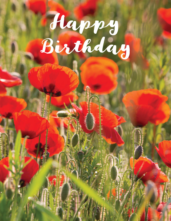 Birthday Card - Poppies - The Christian Gift Company