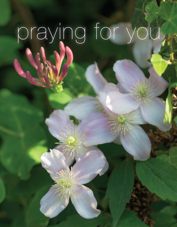 Praying for You Card - Clematis/Honeysuckle - The Christian Gift Company