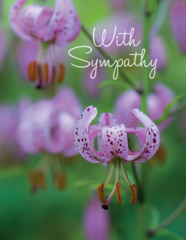 Sympathy Card - Pink Lilies - The Christian Gift Company