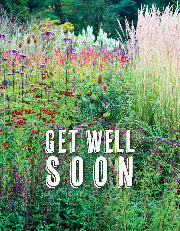 Get Well Card - Border RHS Harlow Carr - The Christian Gift Company